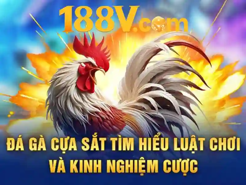 Nguồn gốc và sứ mệnh Nguồn gốc và sứ mệnh