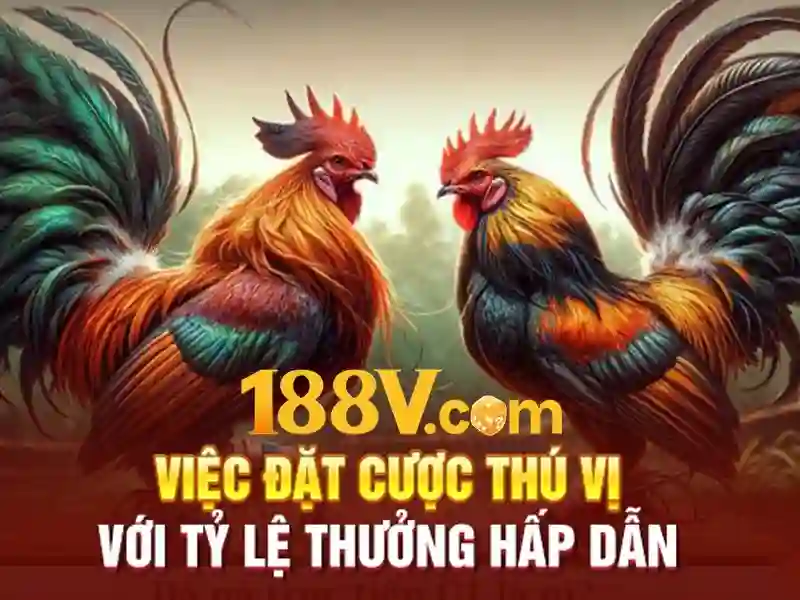 <!--IMG_PLACEHOLDER alt>Nguồn gốc và sứ mệnh của 188v bet-->