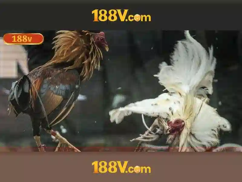 Khám phá 188v: một khía cạnh của công nghệ hiện đại