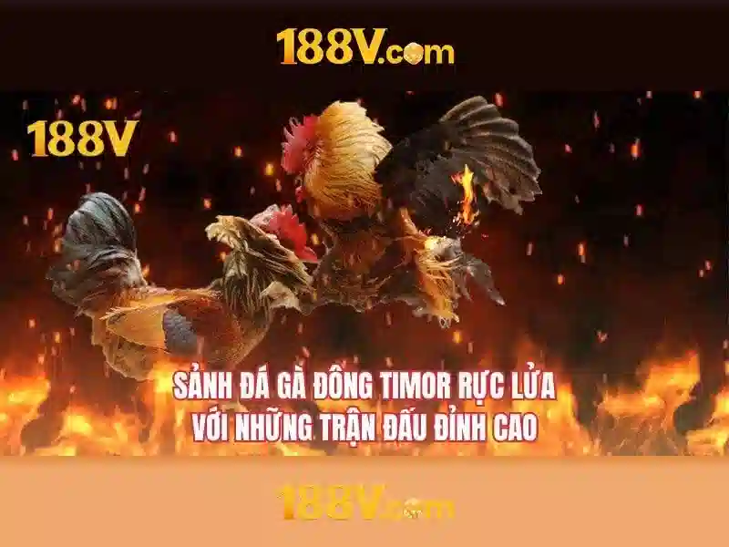 Mẹo chơi bắn cá 3 cây dễ ăn tiền nhà cái