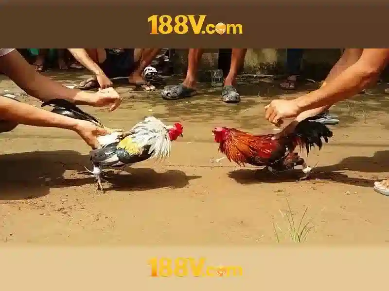 Định hướng phát triển và tầm nhìn tương lai của 188v là gì Định hướng phát triển và tầm nhìn tương lai của 188v là gì