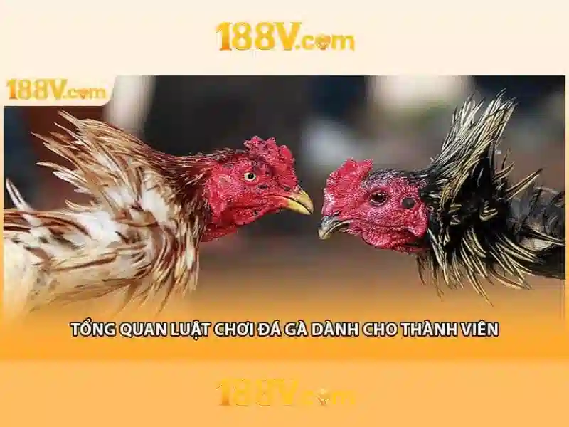 An toàn và chuẩn mực