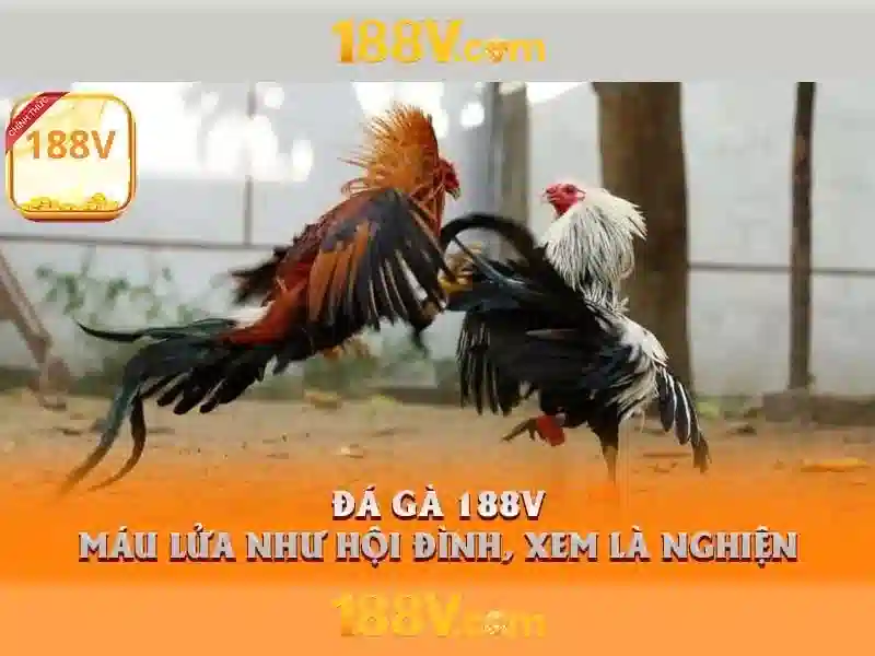 Hiểu biết cơ bản về 188V Hiểu biết cơ bản về 188V