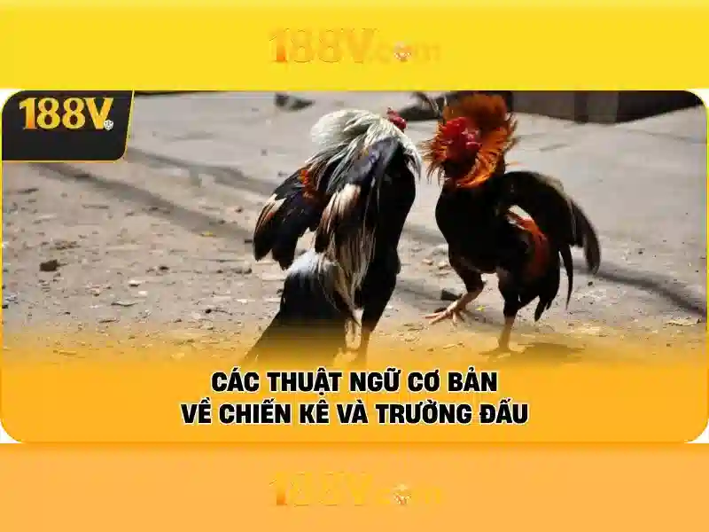 188v và ý niệm số học