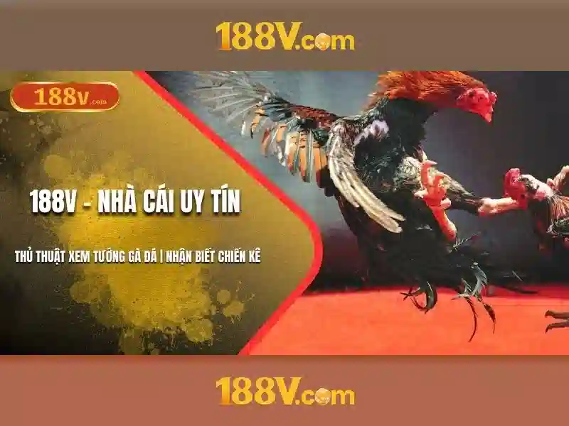 So sánh 188v với các chuẩn công nghệ hiện có\n