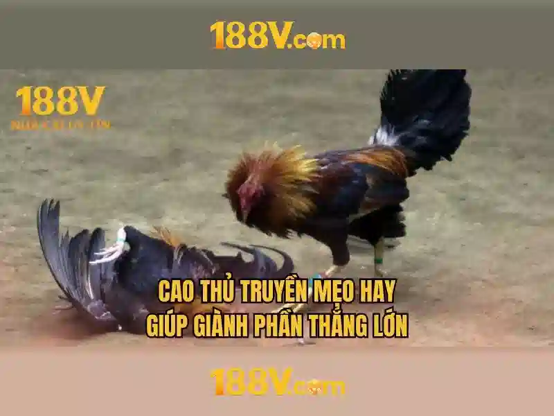 188v: Khám phá một khái niệm công nghệ và nghệ thuật