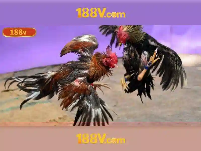 188v com app – Tổng quan và giá trị cốt lõi 188v com app – Tổng quan và giá trị cốt lõi