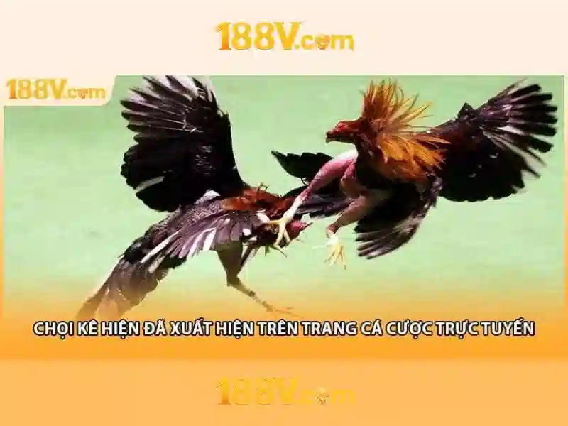 Khám phá khái niệm 188v