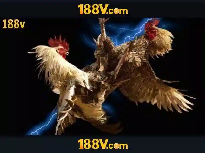 Ưu thế và sức mạnh cạnh tranh của 188v Ưu thế và sức mạnh cạnh tranh của 188v