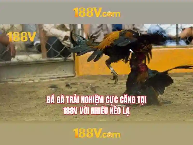 Phương pháp và đặc trưng của 188v