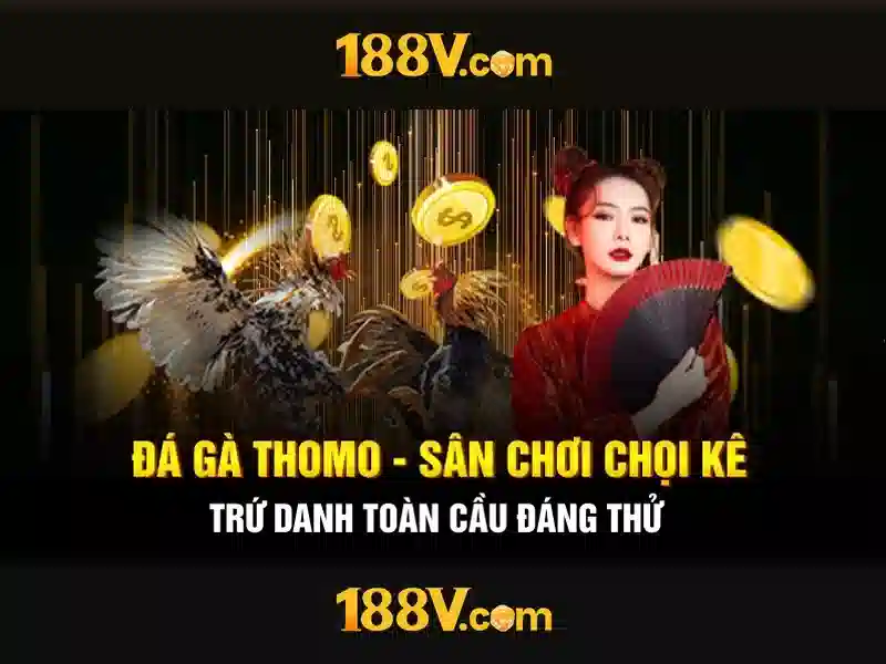 Trải nghiệm người dùng và phản hồi cộng đồng Trải nghiệm người dùng và phản hồi cộng đồng