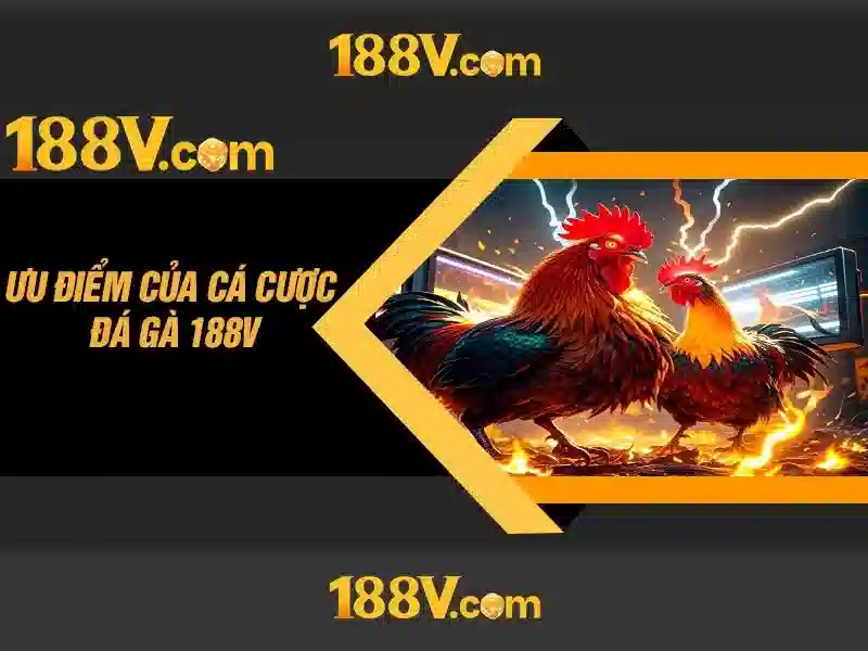 Điểm khác biệt so với các khái niệm liên quan 188v Điểm khác biệt so với các khái niệm liên quan 188v