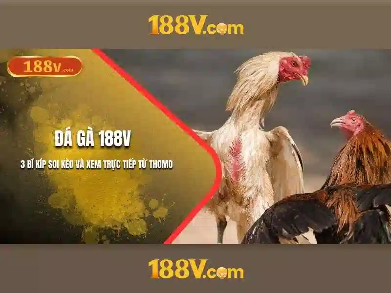 188v tại – Tổng quan chủ đề và giá trị cốt lõi