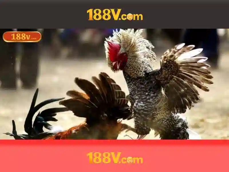 Tương lai và thách thức Tương lai và thách thức