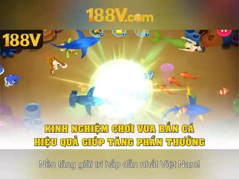 Phân tích nền tảng