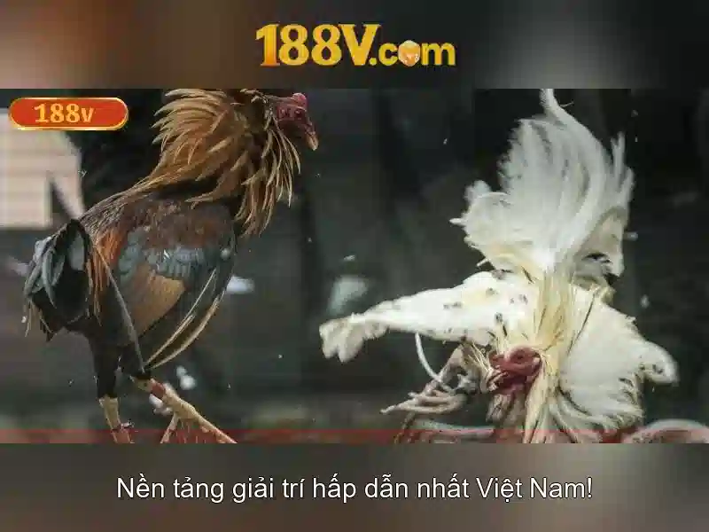 Khái niệm 188v Khái niệm 188v