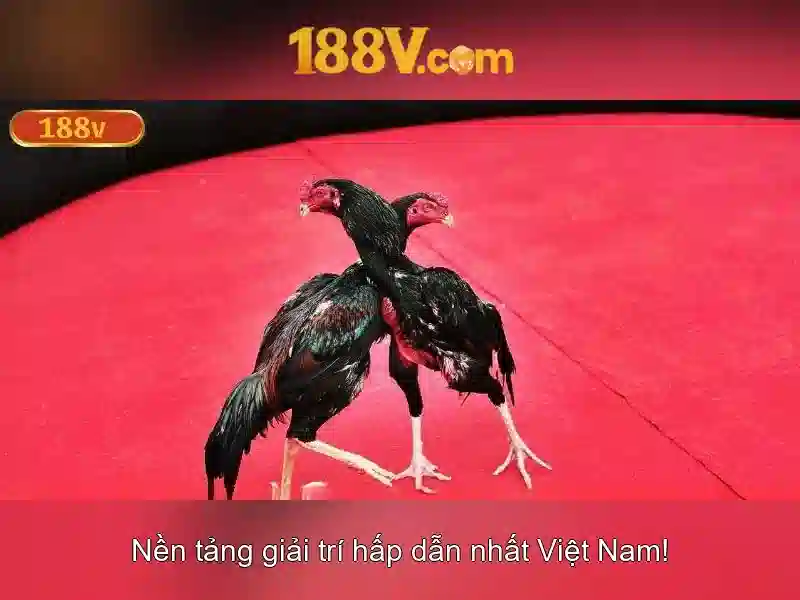 Mẹo chơi bắn cá 3 cây dễ ăn tiền nhà cái