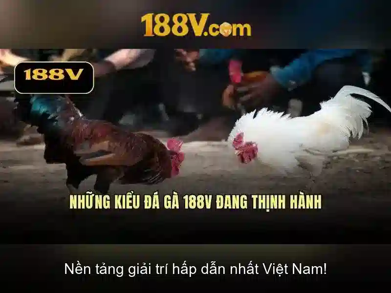 Kiến trúc và ánh sáng