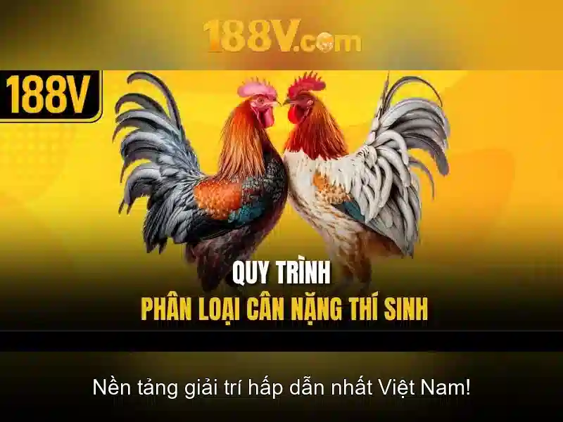 188v: một khía cạnh của điện áp và ứng dụng