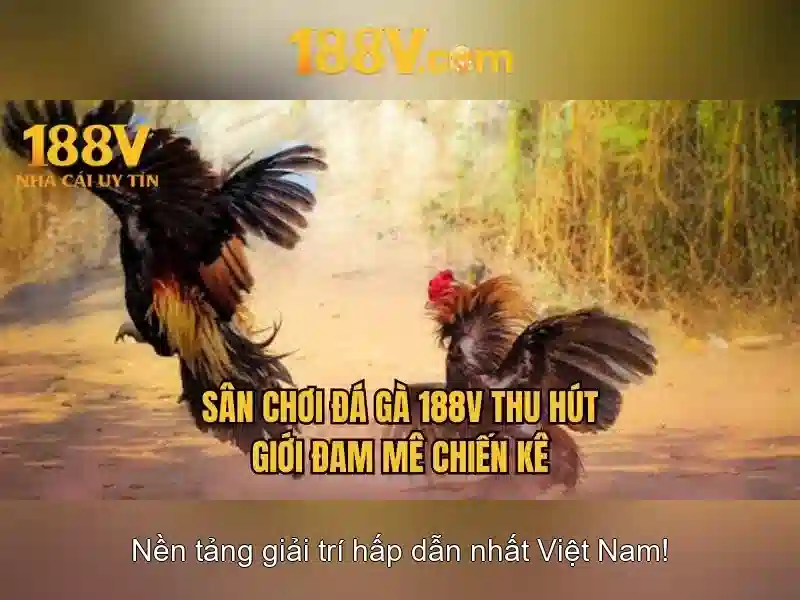 Mẹo chơi bắn cá 3 cây dễ ăn tiền nhà cái