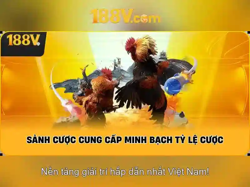 Ý nghĩa và ảnh hưởng của 188v\n\n