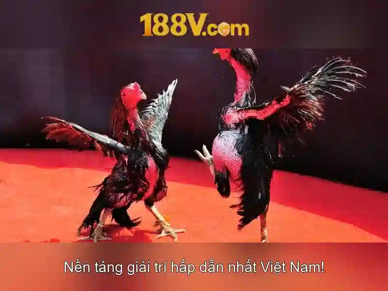 188v: một hành trình số và ánh sáng