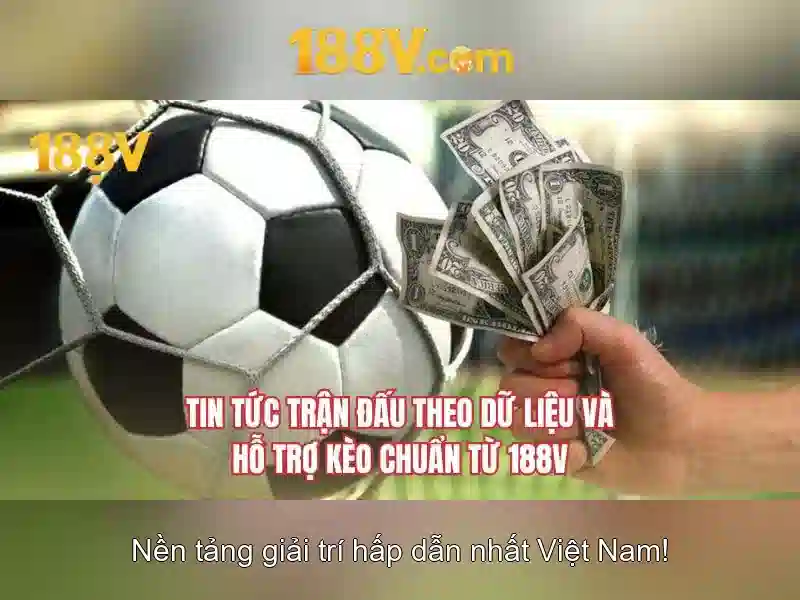 Hướng tới tương lai và kết luận