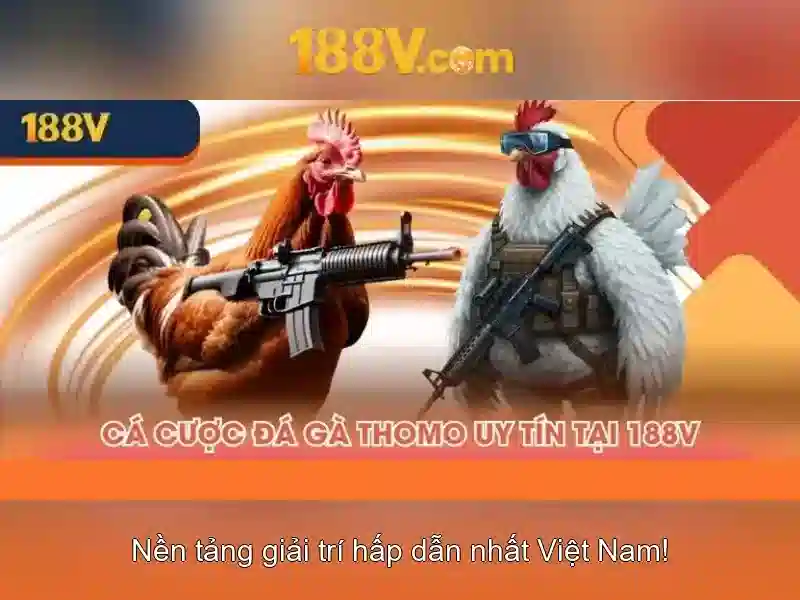 Khía cạnh xã hội và giáo dục của 188v