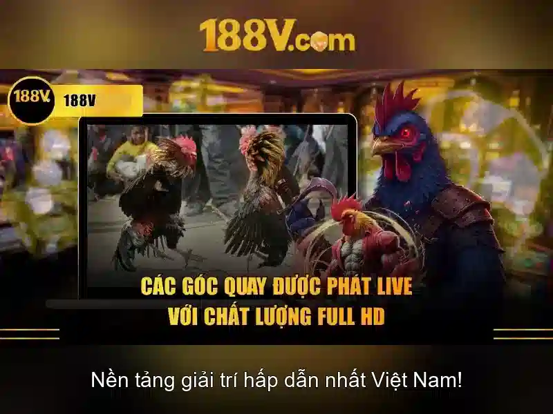 Khái niệm 188v và hành trình khám phá