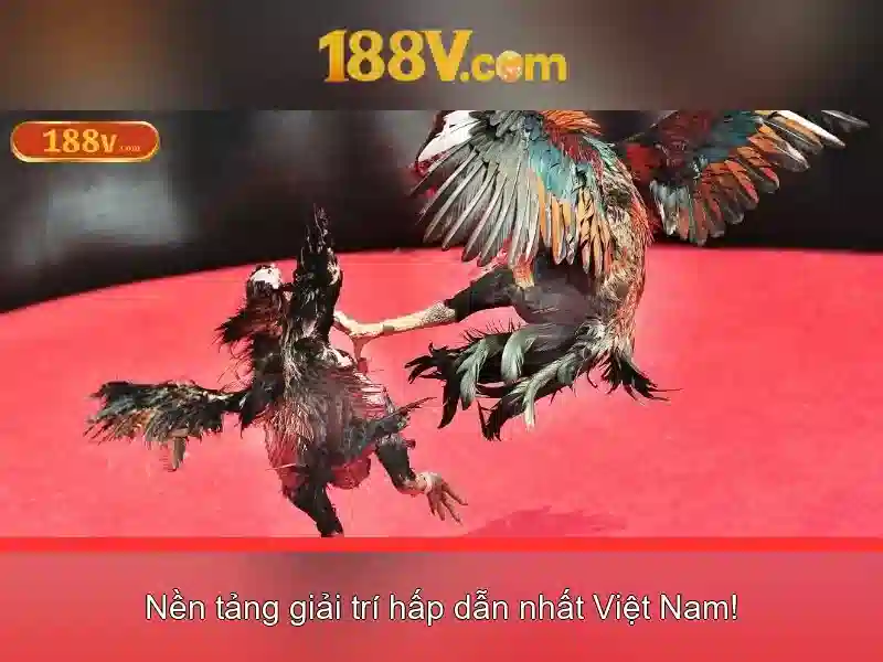 Kết luận về 188v cho tương lai