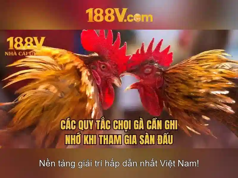 188v fan – Tổng quan, lợi ích và trải nghiệm thực tế