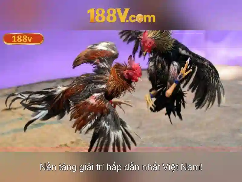 Mẹo chơi bắn cá 3 cây dễ ăn tiền nhà cái