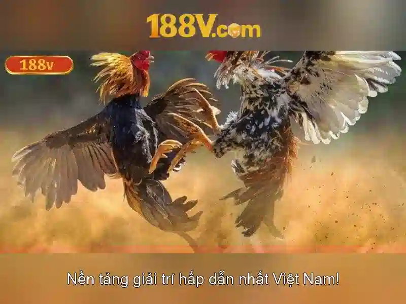 188v: Khái niệm và ảnh hưởng