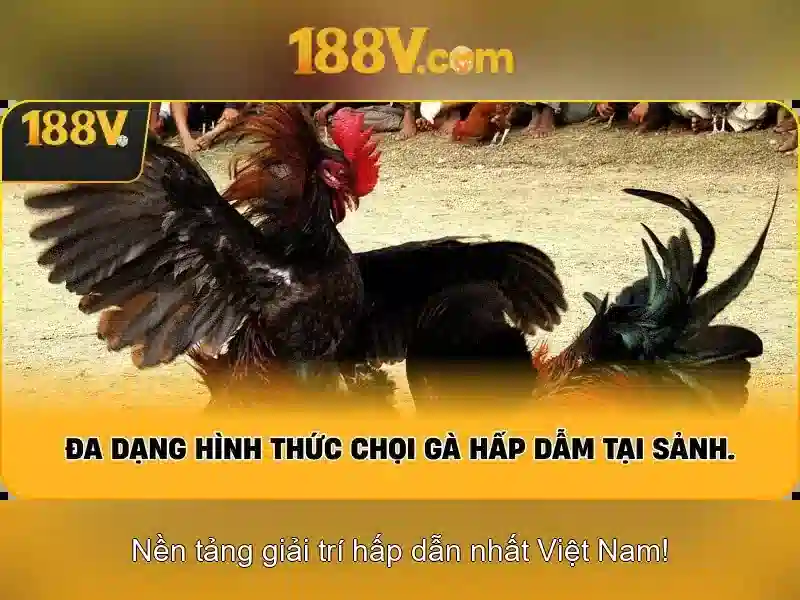 Ứng dụng và tiềm năng của 188v\n\n Ứng dụng và tiềm năng của 188v\n\n