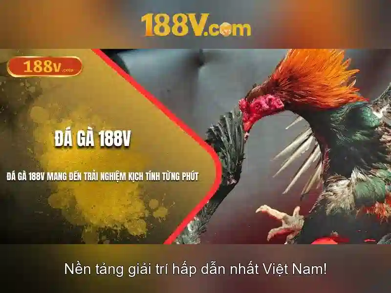 Khái niệm 188v và tầm ảnh hưởng của nó