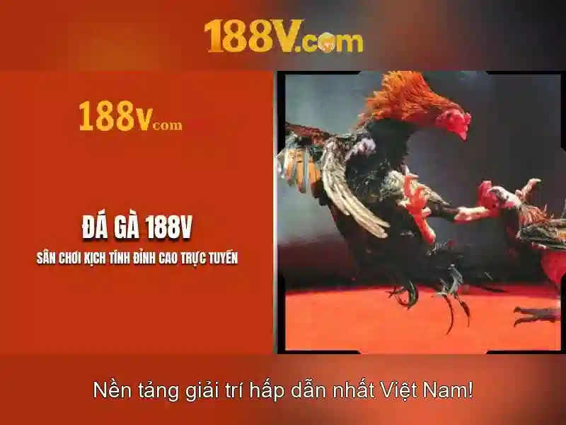 Khái niệm về 188V\n