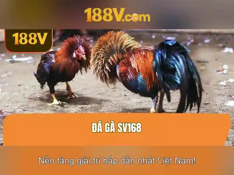 Khái niệm 188v và những ảnh hưởng của nó