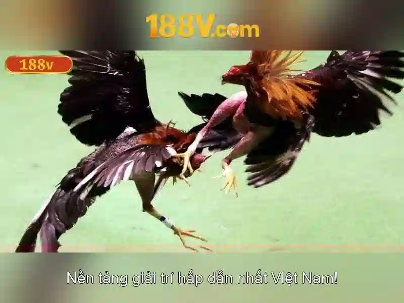 Nguồn gốc và lịch sử Nguồn gốc và lịch sử