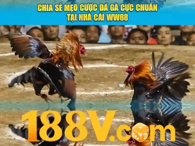 Khái niệm và nguồn gốc