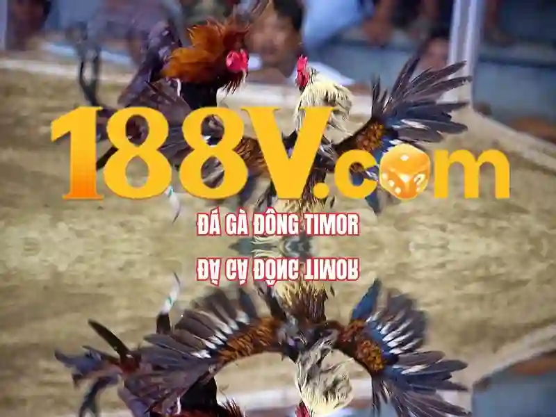 188v tại: Đánh giá, trải nghiệm và tiềm năng