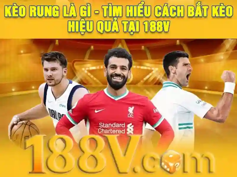 Trải nghiệm người dùng và phản hồi cộng đồng\n