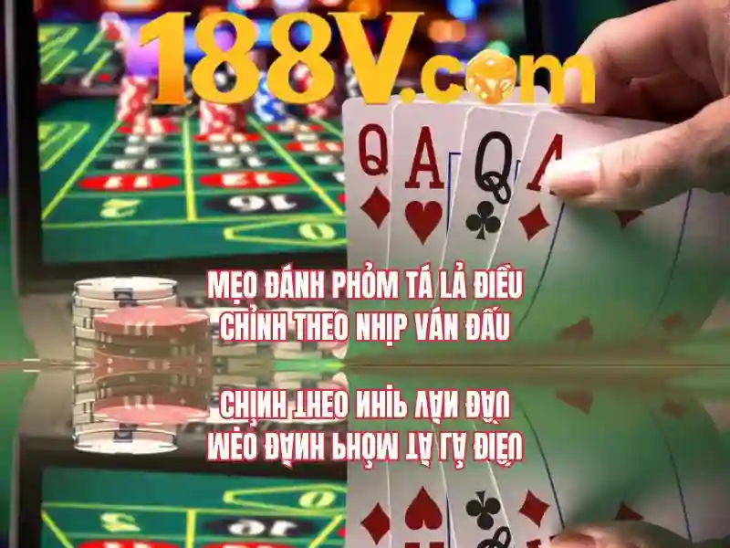 Trải nghiệm người dùng và Phản hồi cộng đồng